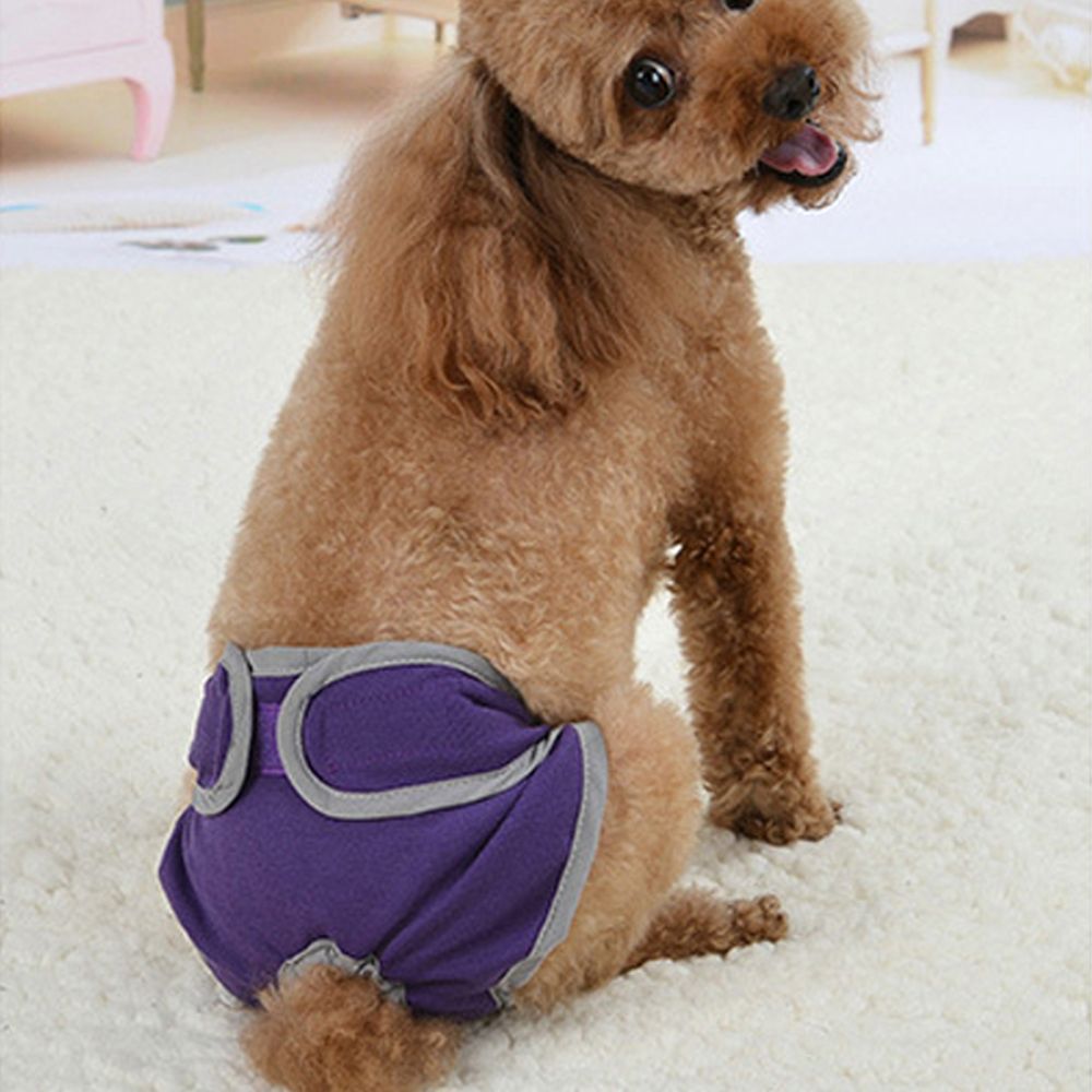 Pets Supplies Comfortable Magic Tape Brief Dogs Teddy Golden