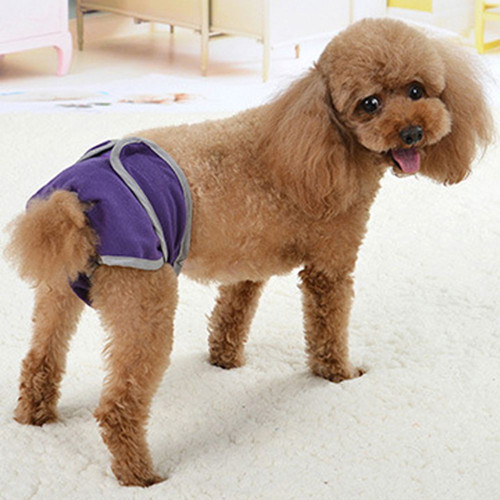 Pets Supplies Comfortable Magic Tape Brief Dogs Teddy Golden