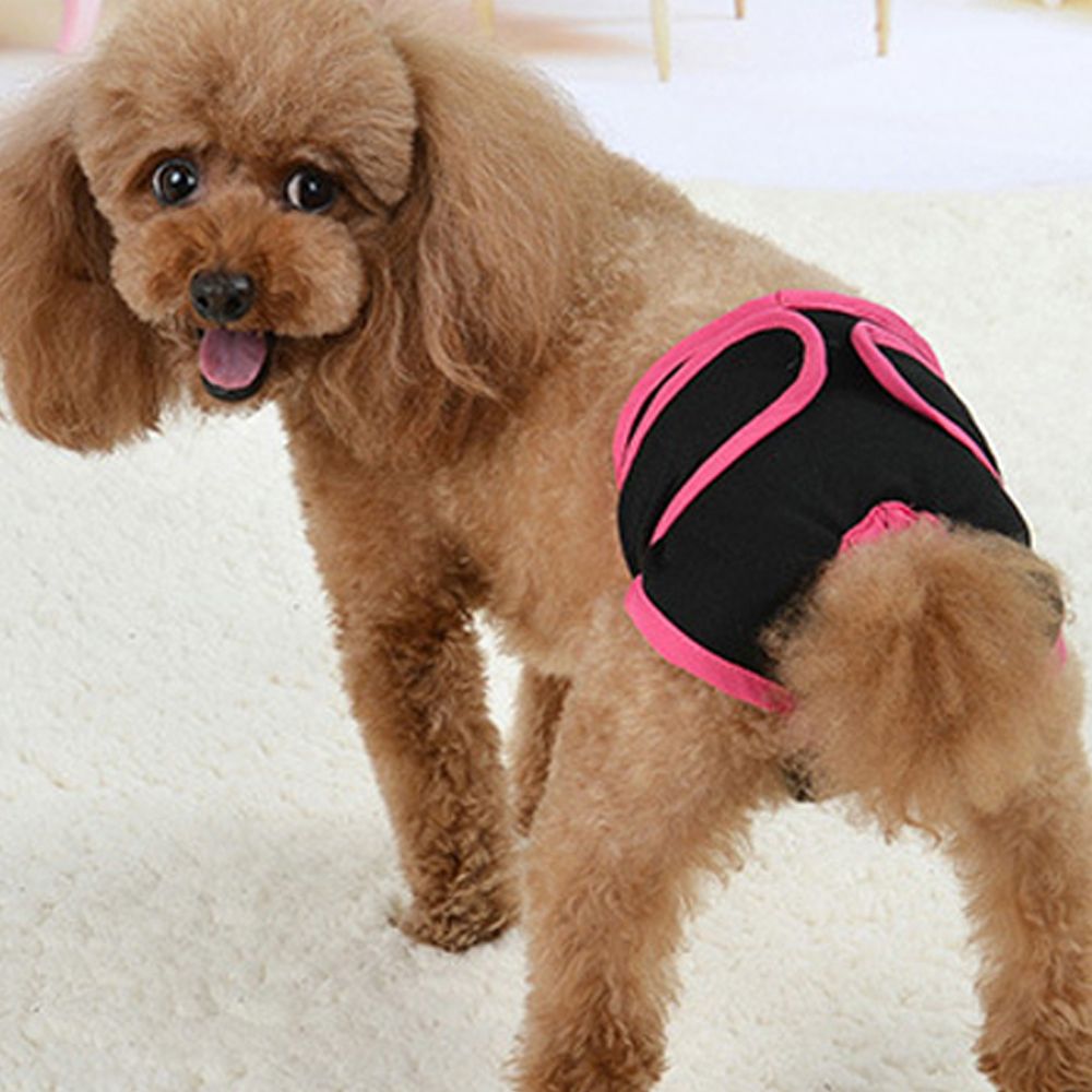 Pets Supplies Comfortable Magic Tape Brief Dogs Teddy Golden