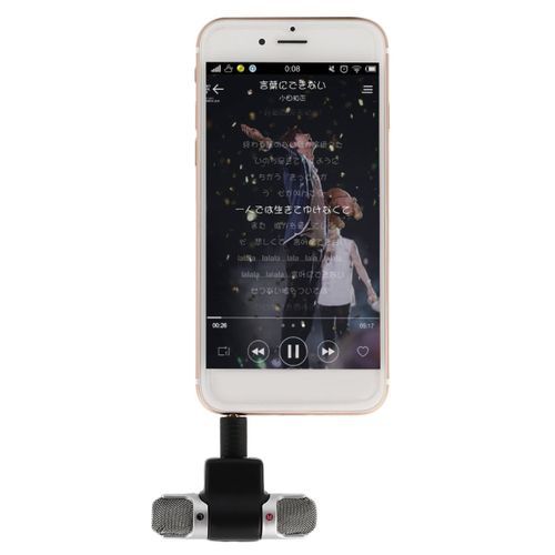 Portable Mini Mic
