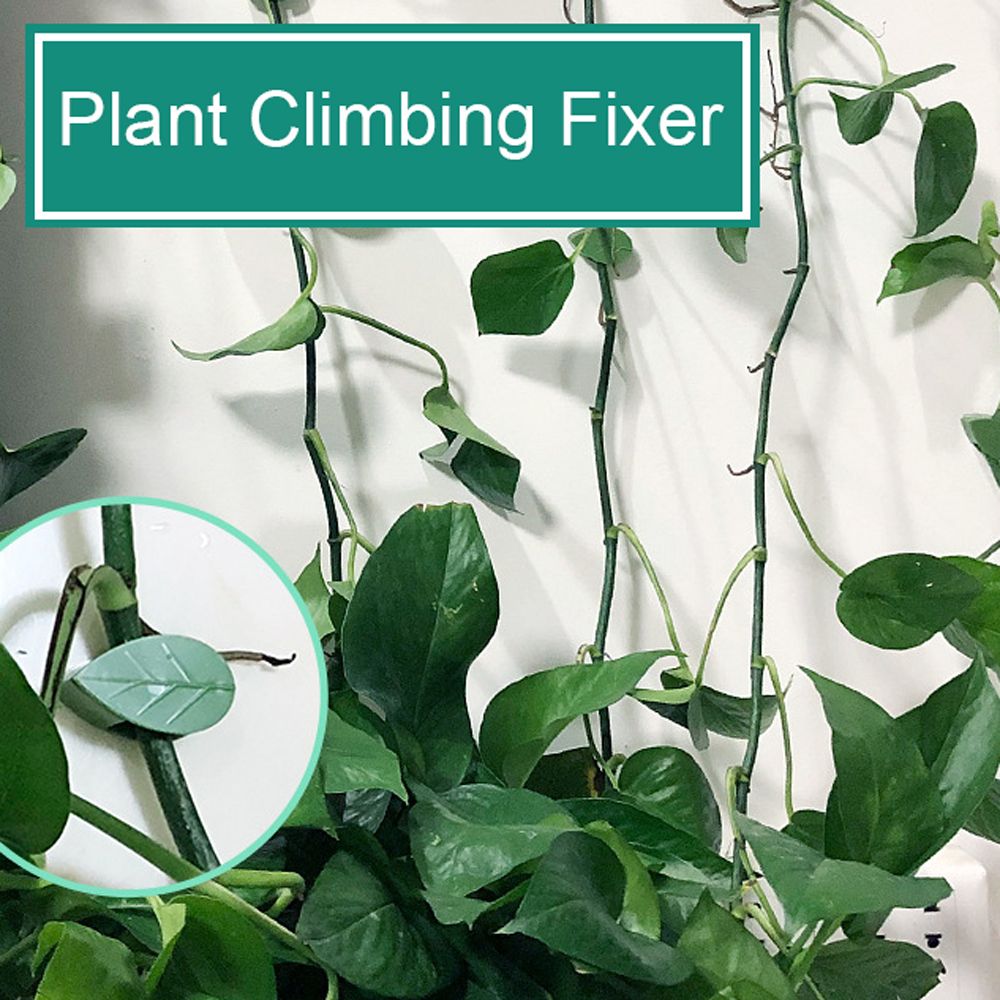 10PCS Plant Climbing Fixer Wall Vine Fixture Clips