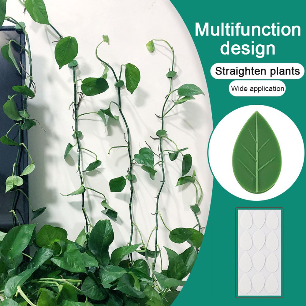 10PCS Plant Climbing Fixer Wall Vine Fixture Clips