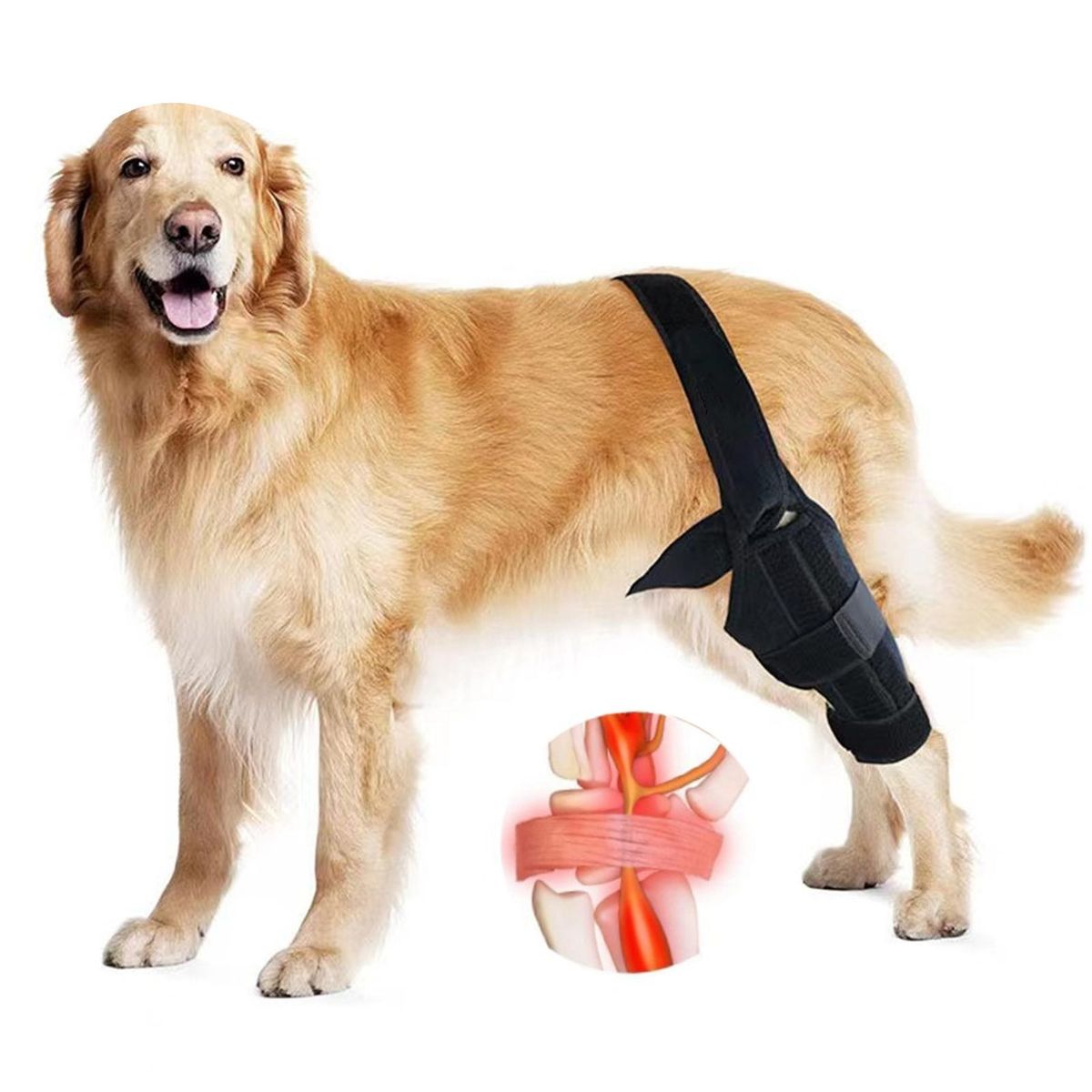 Dog Leg Bandage Adjustable Pet Dog Rear Leg Black