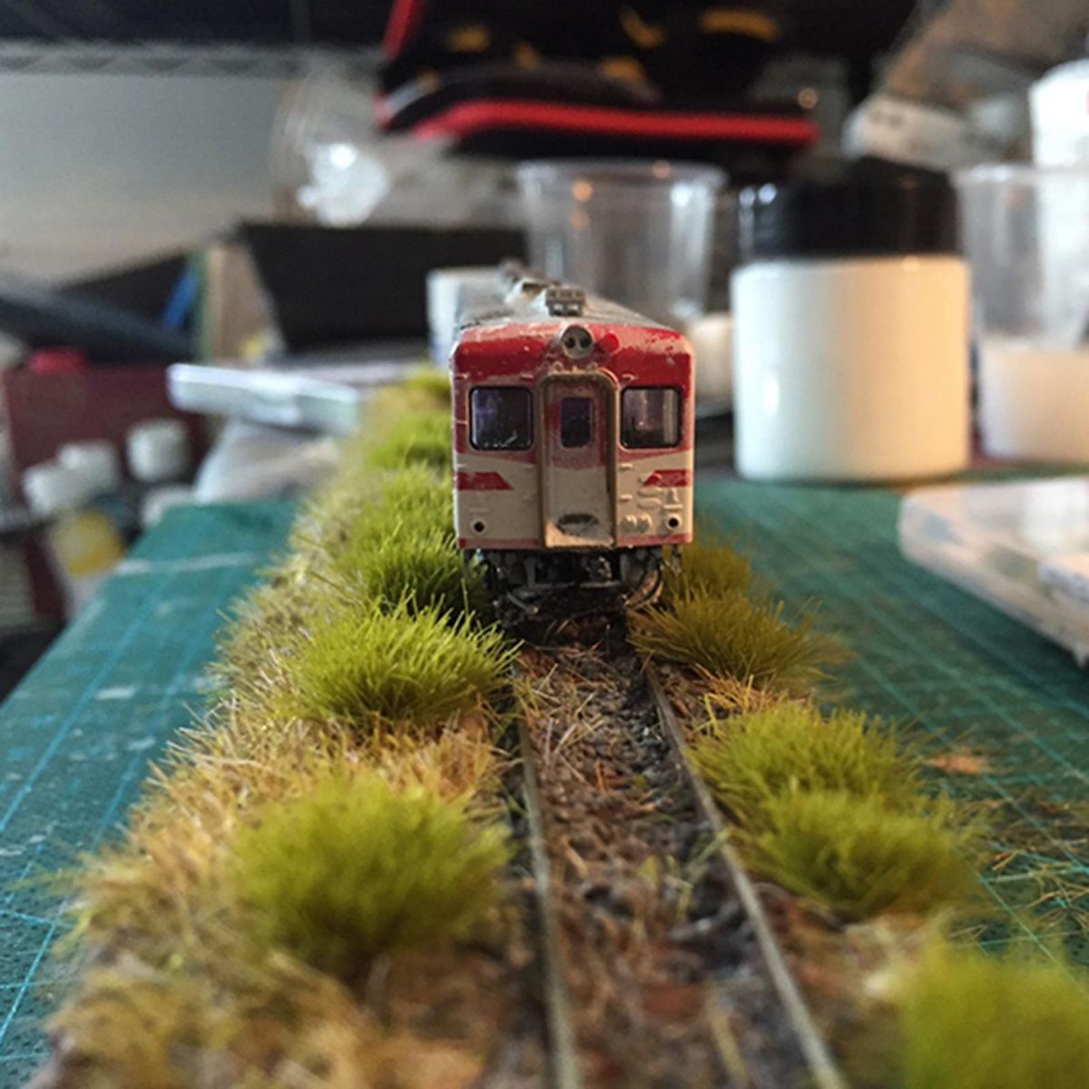 1Box Cluster Grass  Architecture Train Railway Model Asparagus Green