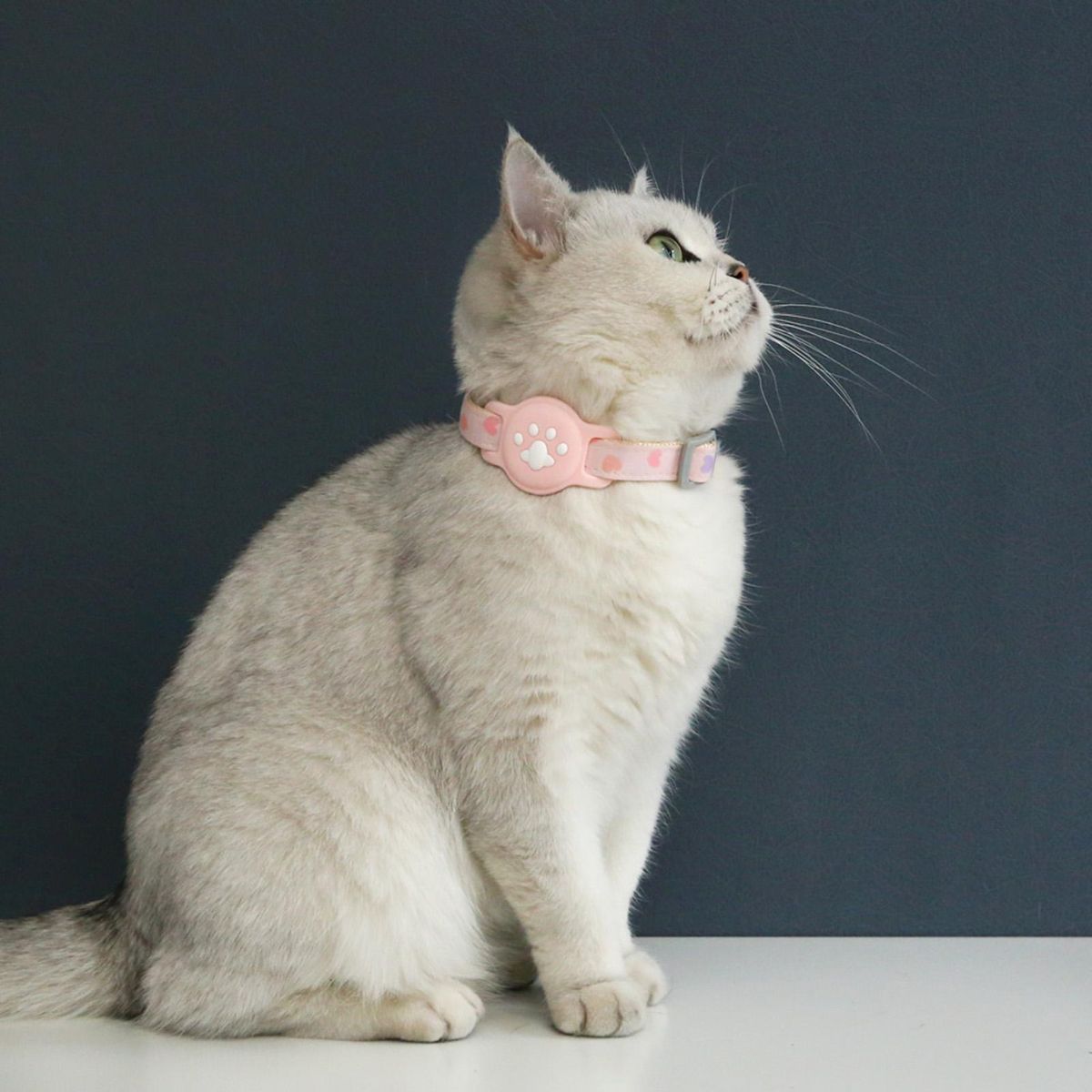 1 Set Pet Neck Strap Abrasion-resistant Pet Collar Tracker Cover Pink