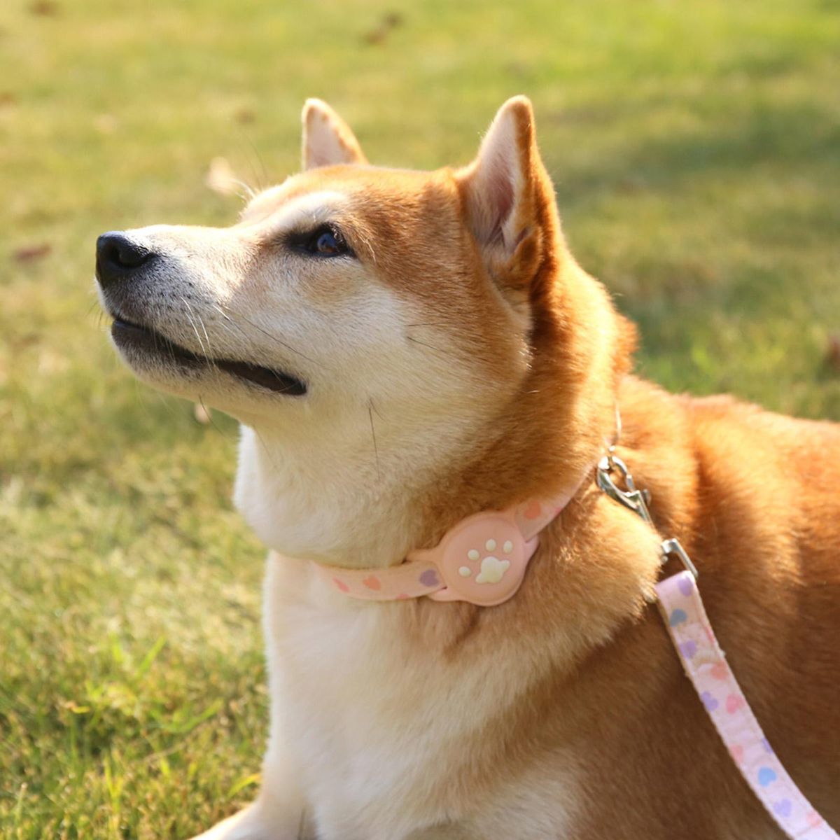 1 Set Pet Neck Strap Abrasion-resistant Pet Collar Tracker Cover Pink