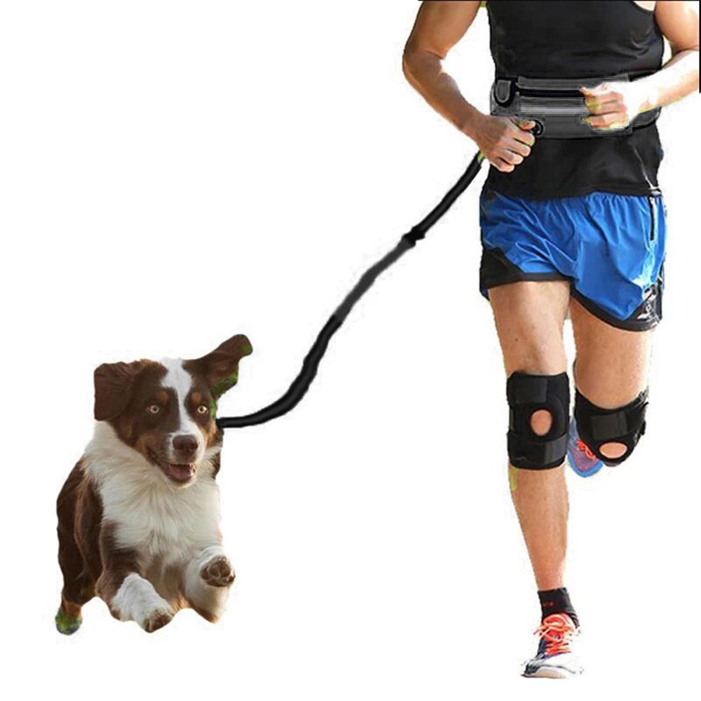 Hands Free Dog Leash With Waist Pack Belt For Walkin-Black