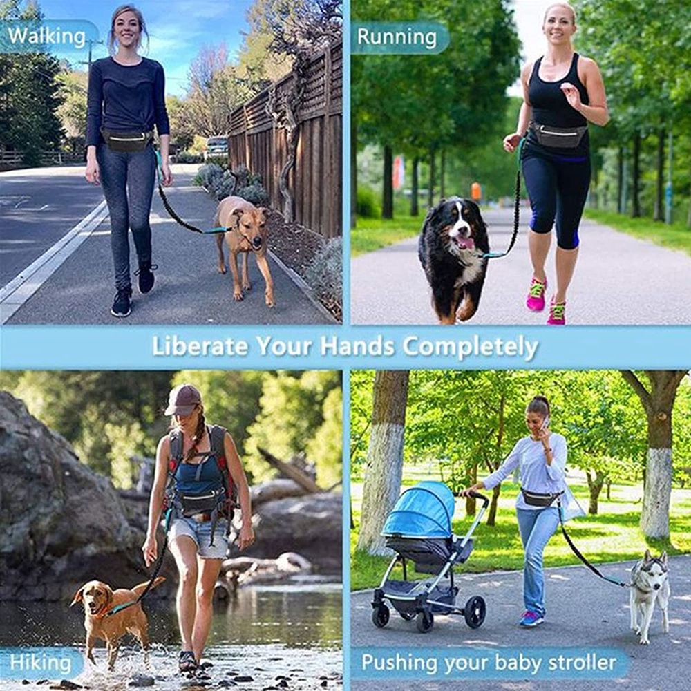 Hands Free Dog Leash With Waist Pack Belt For Walkin-Black
