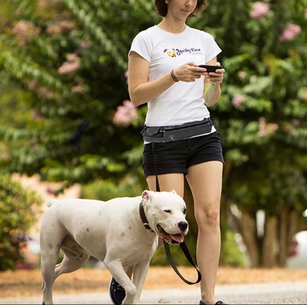 Hands Free Dog Leash With Waist Pack Belt For Walkin-Black
