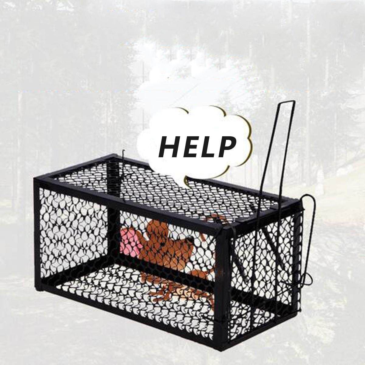 Mouse Live Cage Trap Pest Rodent Animal Hamster Mice Rat Control Catch Bait Small Size (21.5 * 11 * 11cm)