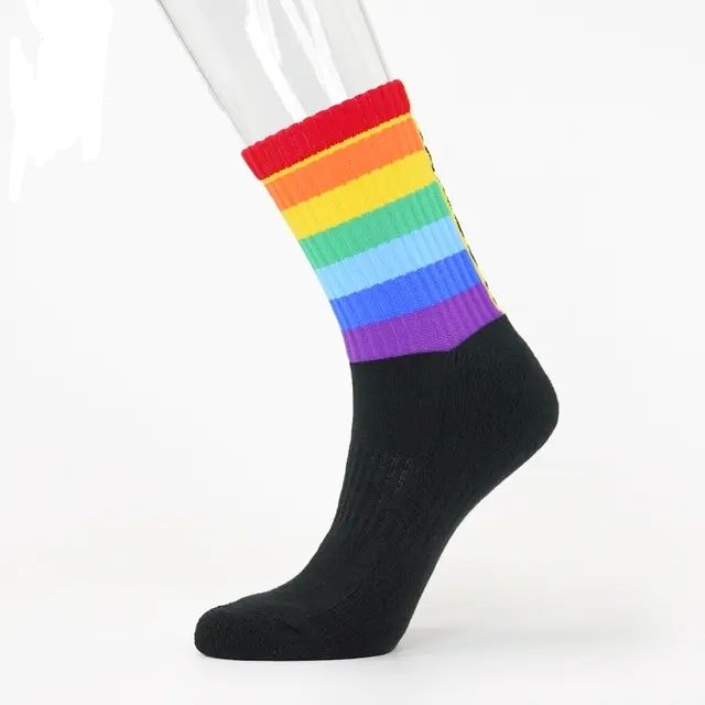 Men's Crew Rainbow Sock