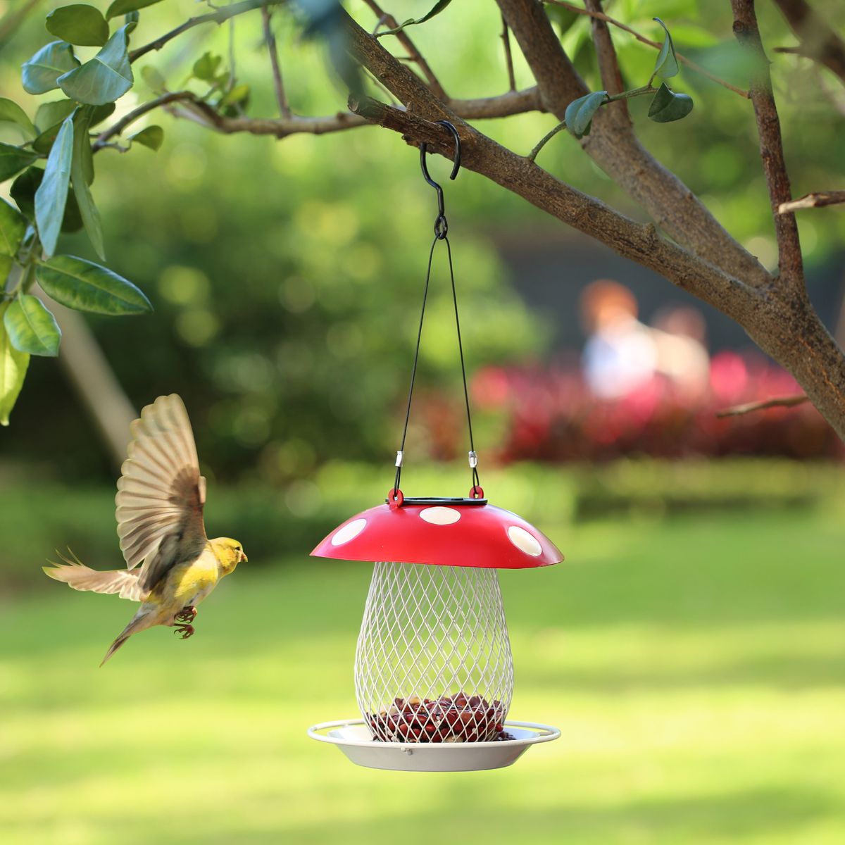 Tomfeel Mushroom Bird Feeder Solar Lamp Lights Wild Bird