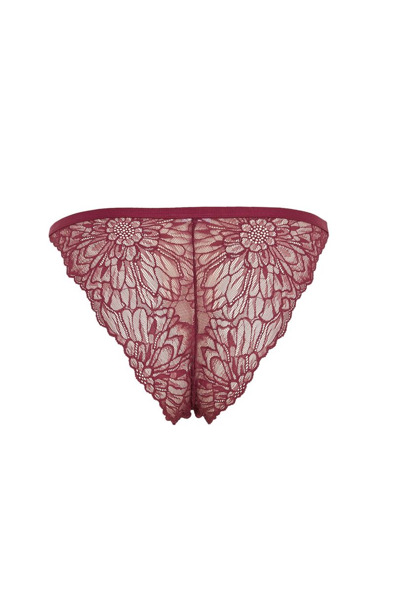 Woman Casual Brazillian Underwear Slip - Purple