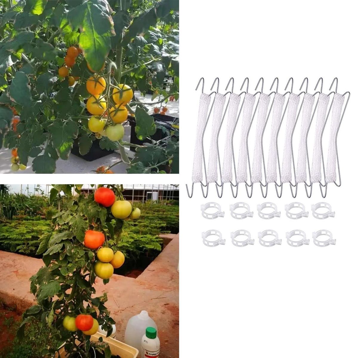 10Pcs Plant Hanging Hook Greenhouse Flower Vine Support Hook White