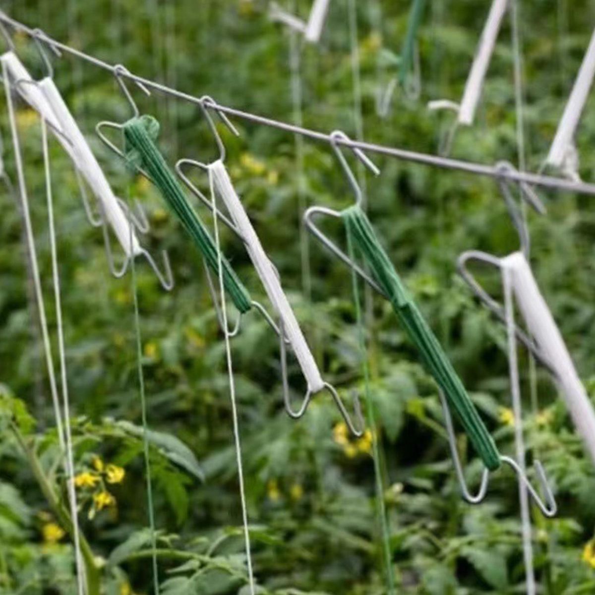 10Pcs Plant Hanging Hook Greenhouse Flower Vine Support Hook White