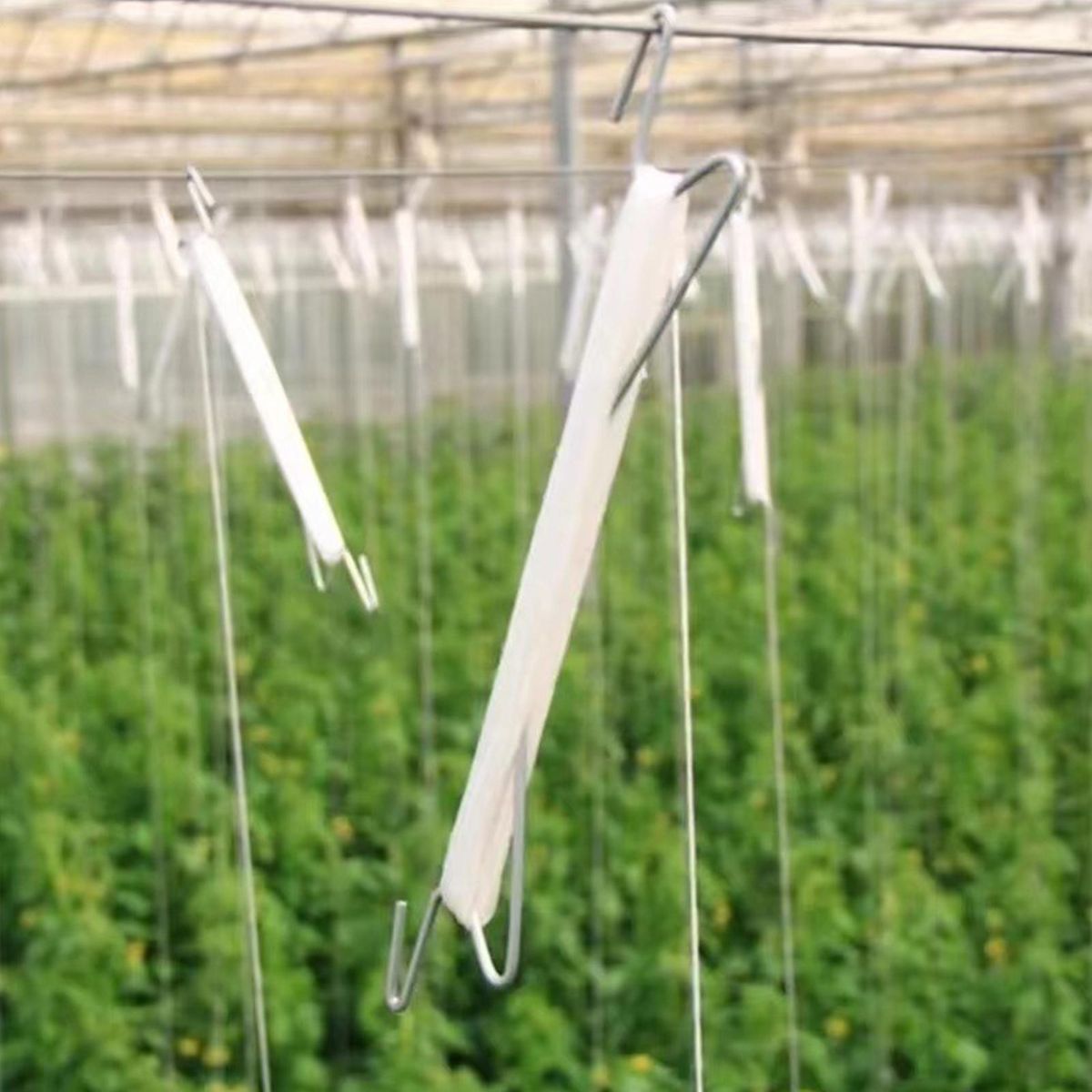 10Pcs Plant Hanging Hook Greenhouse Flower Vine Support Hook White