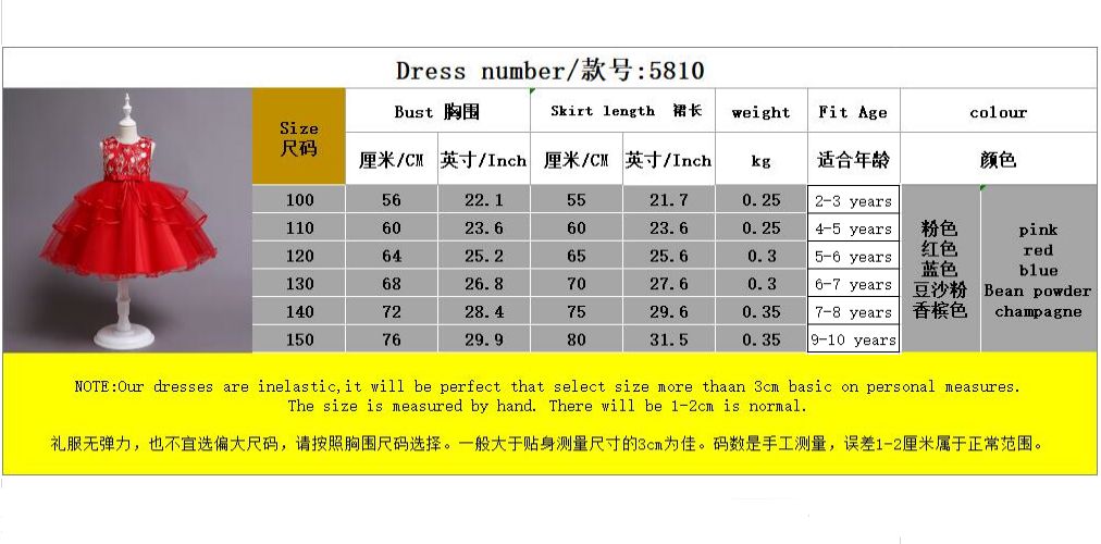 Girl Children Kids Dinner Party Princess Dress Ball Gown