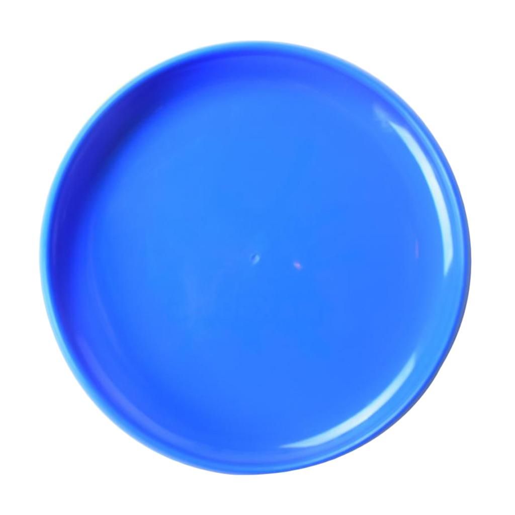 Competition Standard Flying Discs  Playing Throw&Catch Training Blue