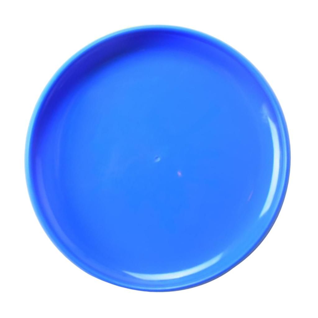 Competition Standard Flying Discs  Playing Throw&Catch Training Blue