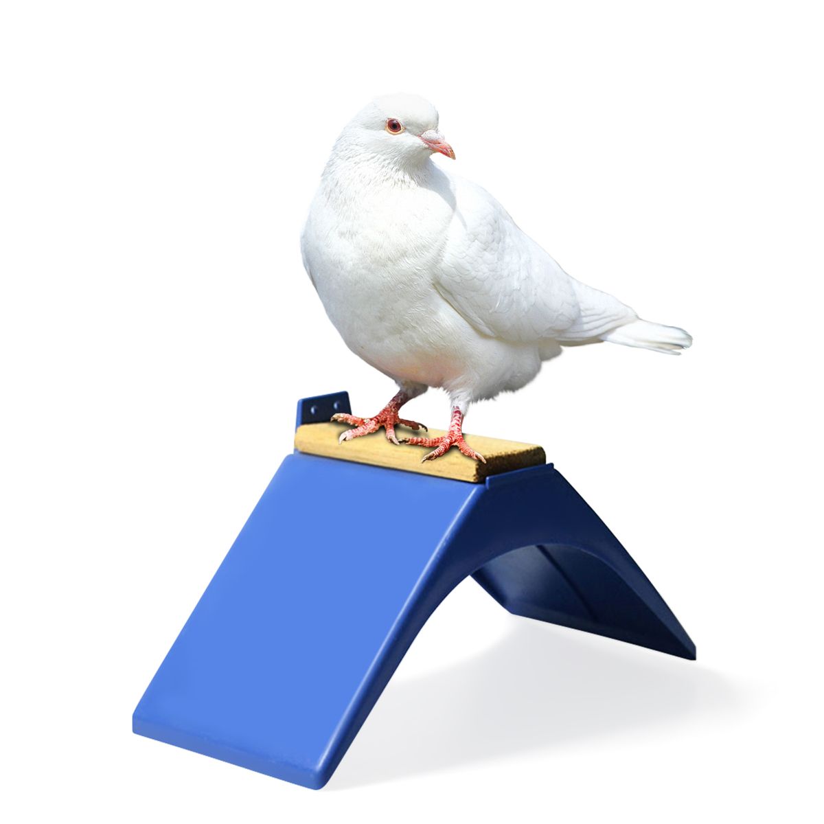 Pigeon Rest Stand Pigeon Perches Frame Grill Dwelling Roost