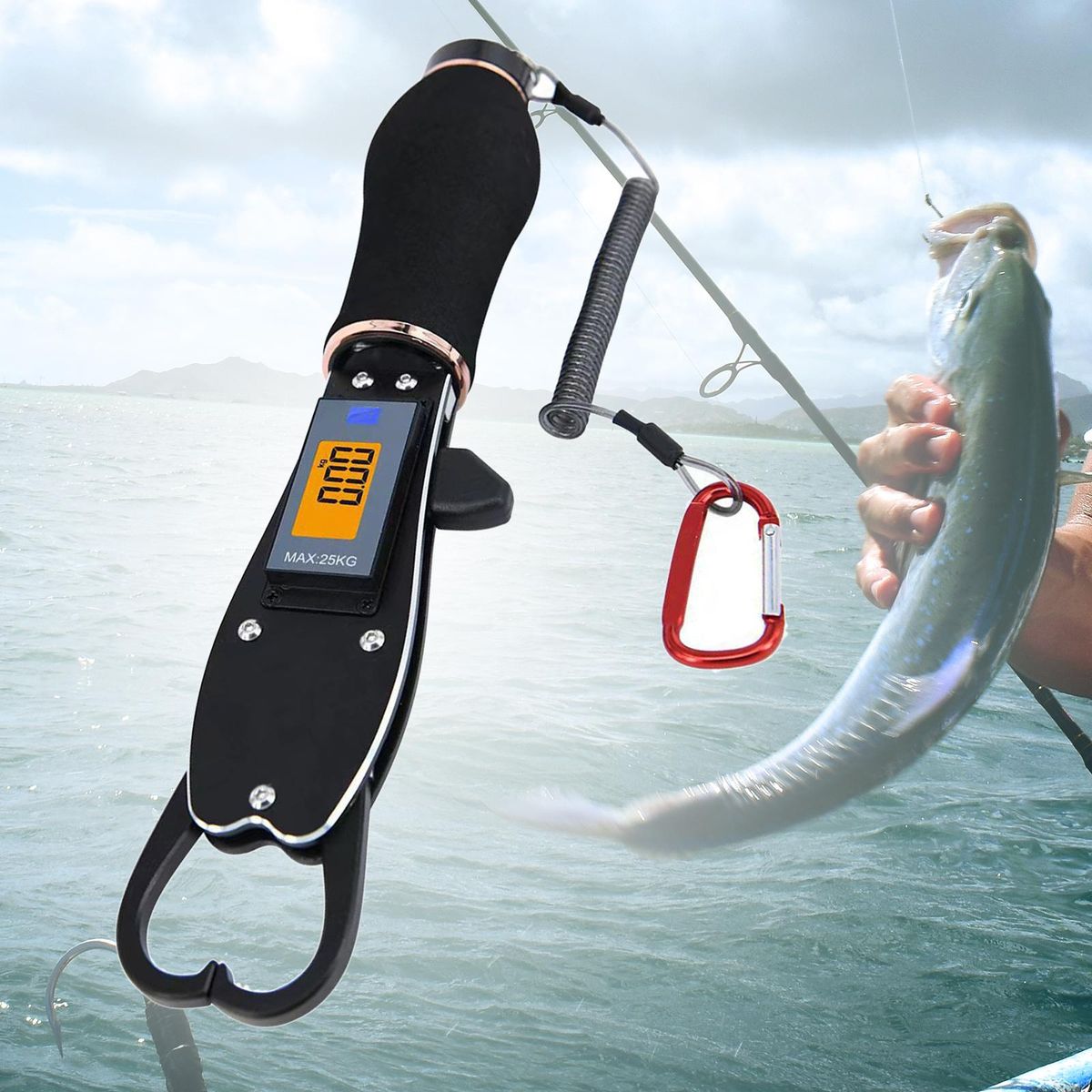 Fish Gripper For Fishing With Weight Scale Portable