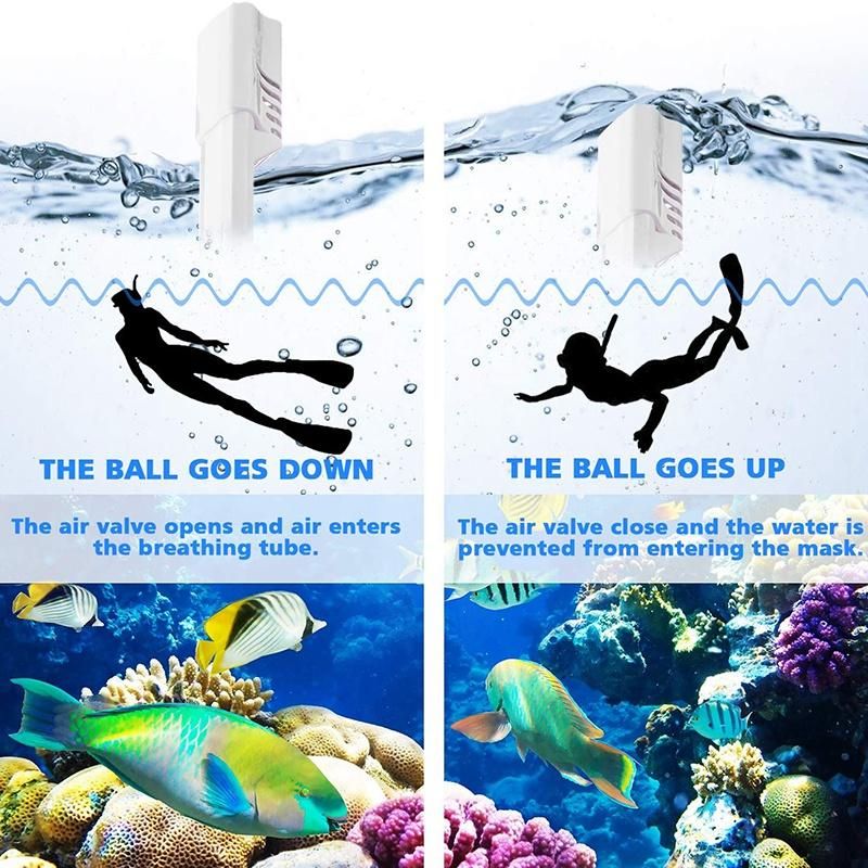 Face Snorkel Mask 180° Panoramic with Detachable Camera