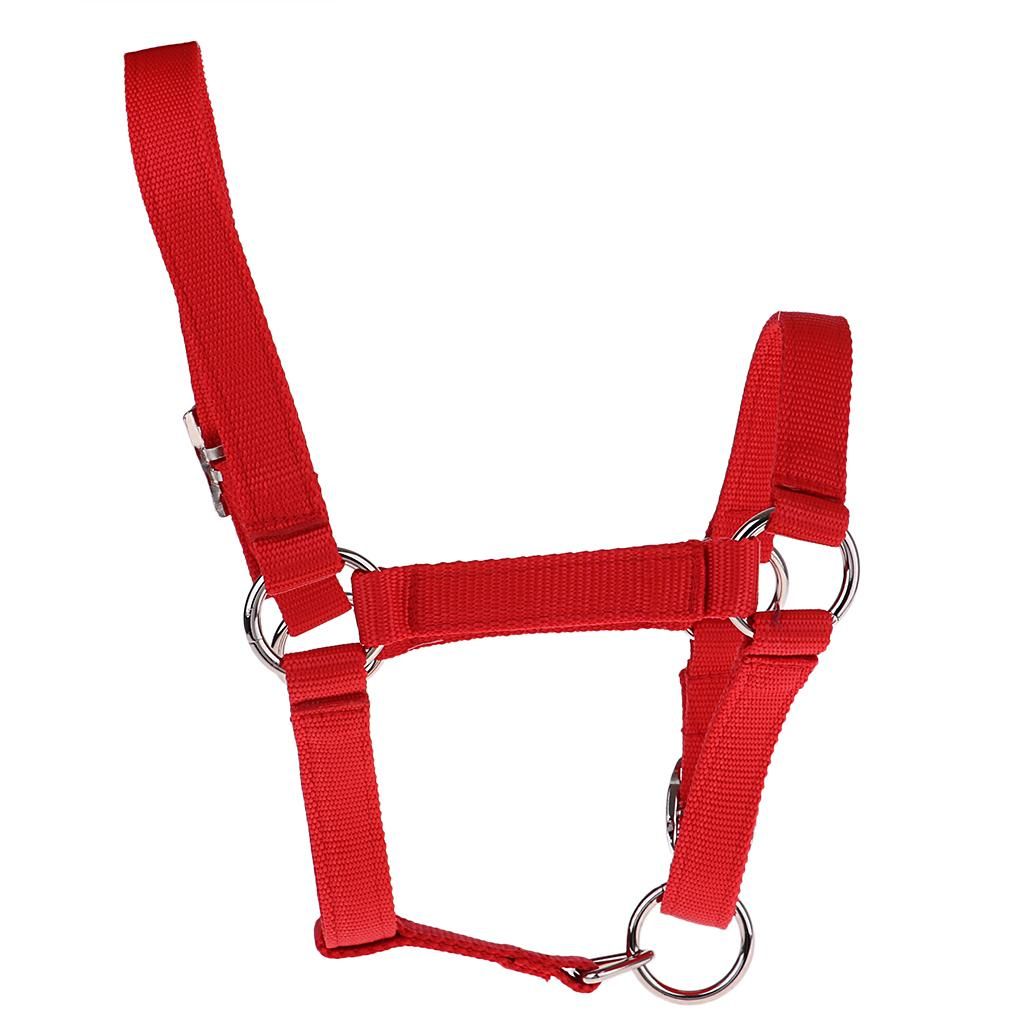 High Quality Adjustable Buckle Nylon Western Horse Red M