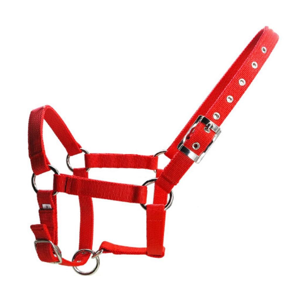 High Quality Adjustable Buckle Nylon Western Horse Red M