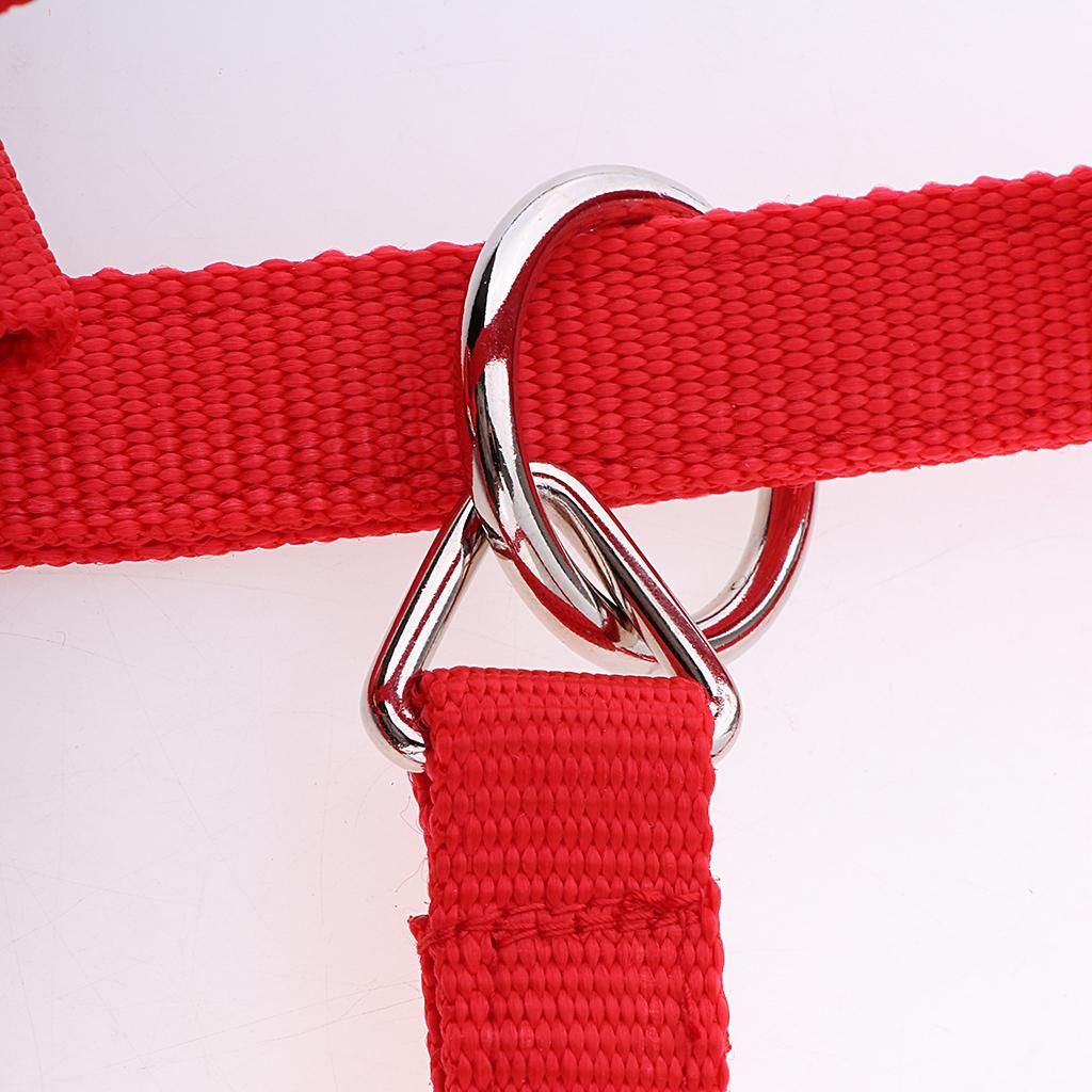 High Quality Adjustable Buckle Nylon Western Horse Red M