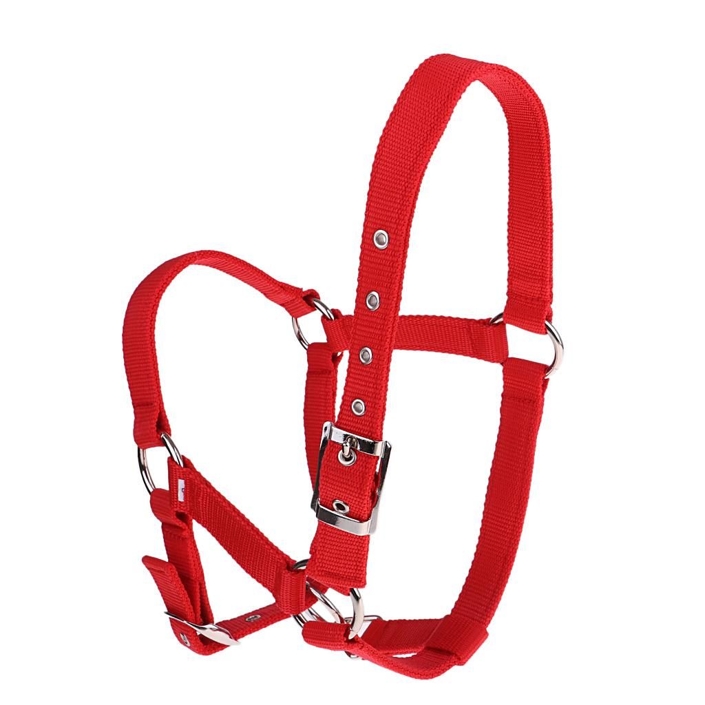 High Quality Adjustable Buckle Nylon Western Horse Red M