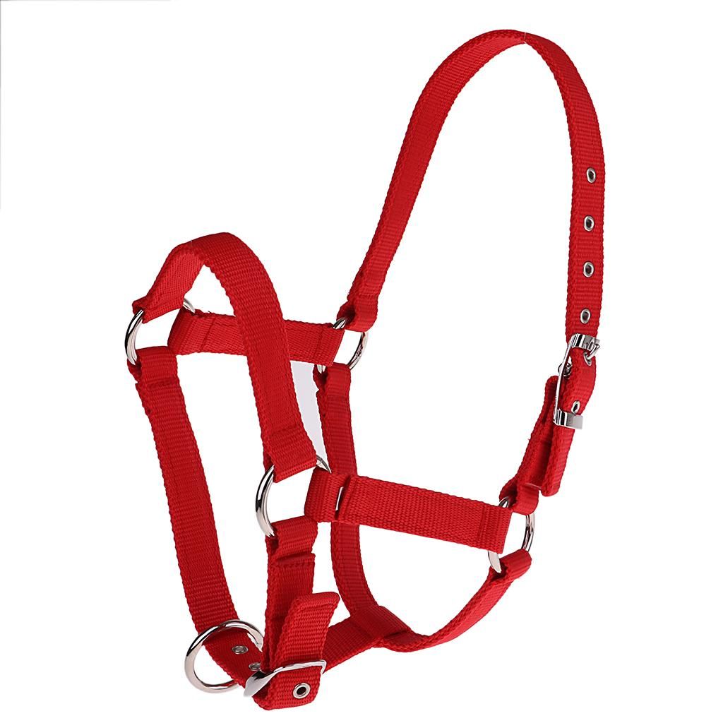 High Quality Adjustable Buckle Nylon Western Horse Red M