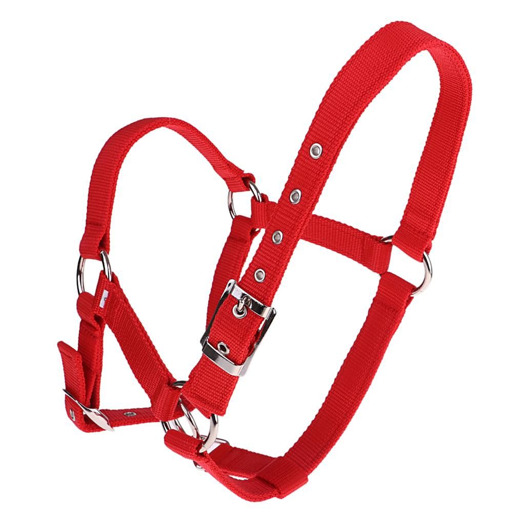 High Quality Adjustable Buckle Nylon Western Horse Red M