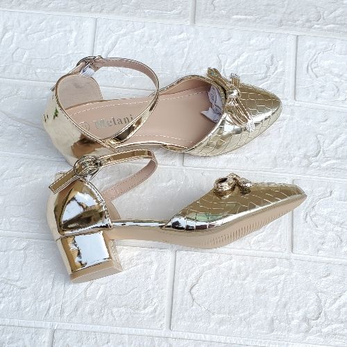 Stylish Girls Block Heel Shoe