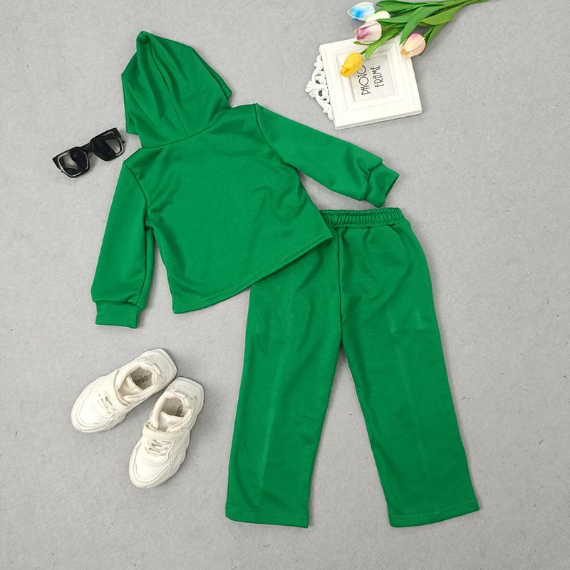Girls' 2Pieces Pants Set Hoodie Long Sleeve Letter Pattern Clothing-Green