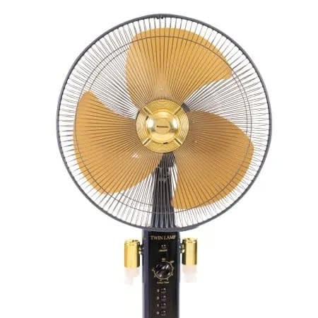 Stand Fan With Timer - F-407w - 220V