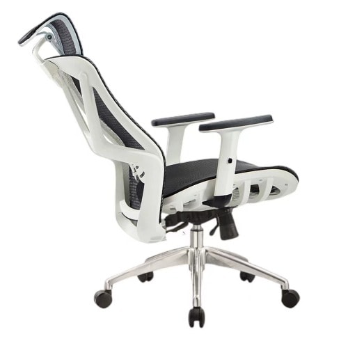 Ggx Executive Ergonomic Mesh Chair