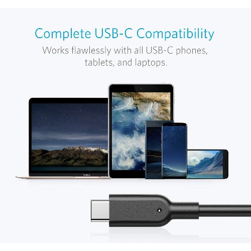 Powerline Ii Usb-c To Usb 3.1 Gen2 Cable (3ft)