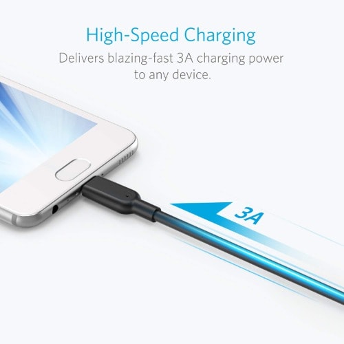 Powerline Ii Usb-c To Usb 3.1 Gen2 Cable (3ft)