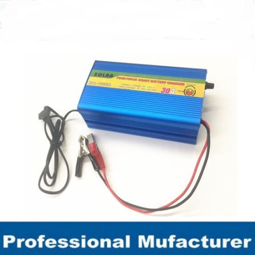 30A Car & Inverter Battery Charger