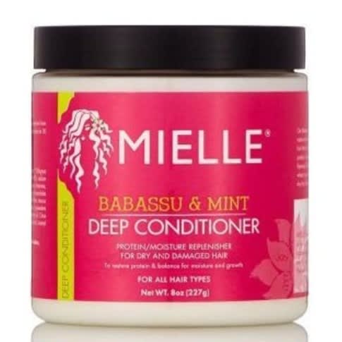 Babassu & Mint Deep Conditioner, Protein Replenish-227g