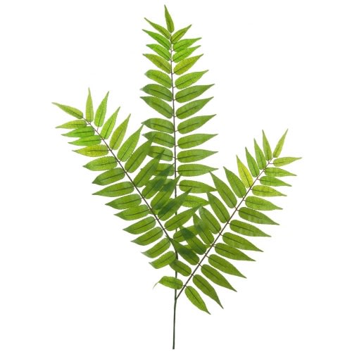 Artificial Fern- 86cm