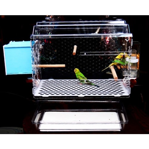 TD Acrylic Bird + Parrot Cage With Blue Incubator