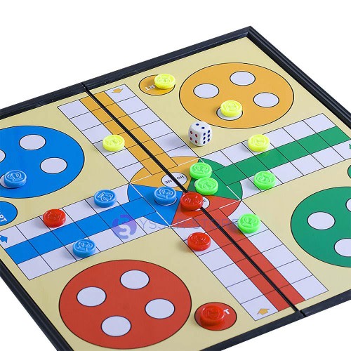 Ludo Brain Game
