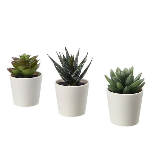 Fejka Artificial Potted Plant With Pot - In/outdoor Succulent - 6Cm - 3 Pack
