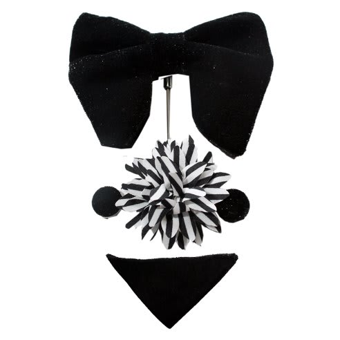 Butterfly Bow Tie and Brooch
