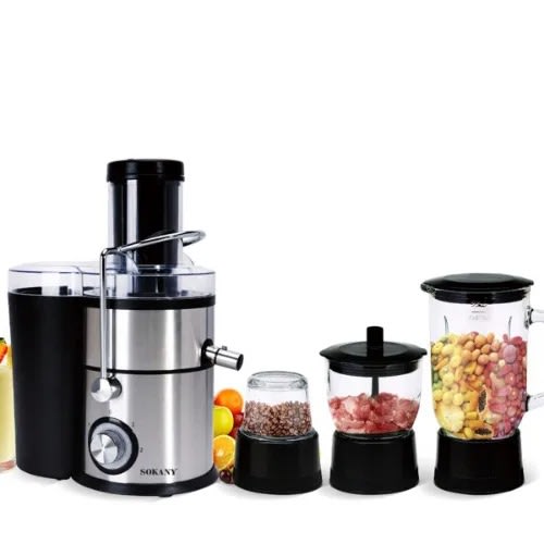4 In 1 Juicer & Blender - 1000W