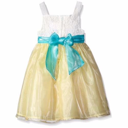 Lace To Organza Social Dress