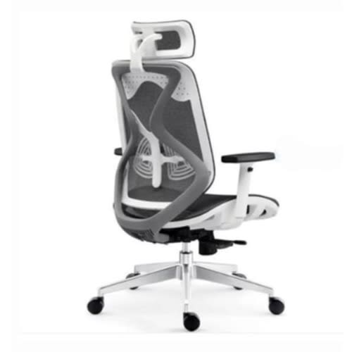 Ergonomic Office Chair