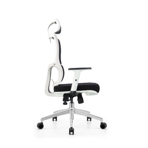 Executive Ergonomic Mesh Chair