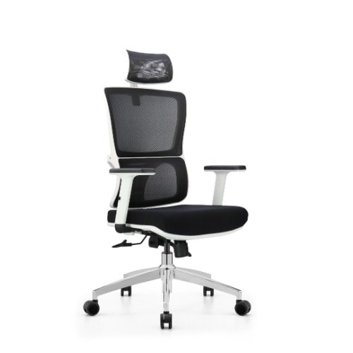 Executive Ergonomic Mesh Chair